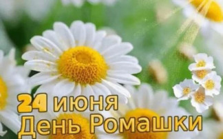 День Ромашек День Ромашек.